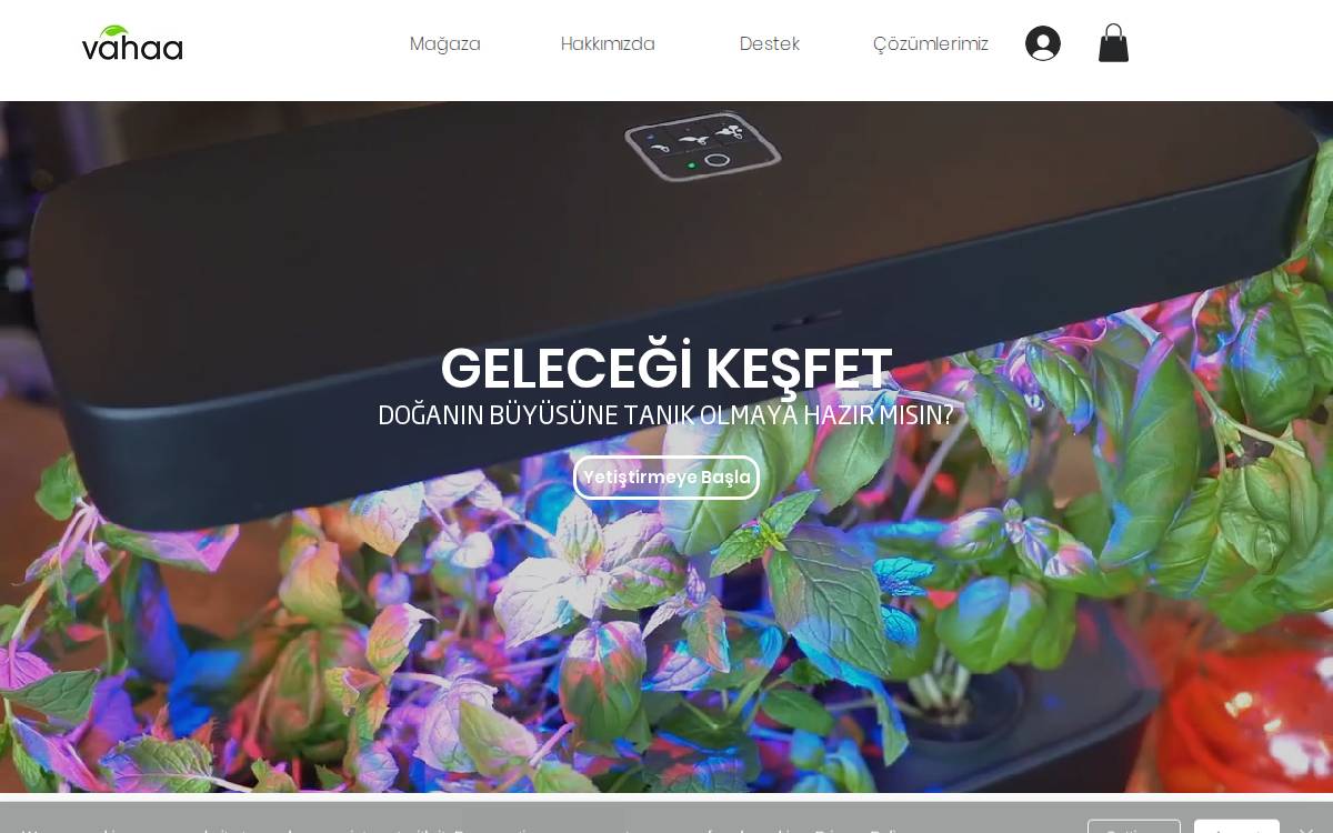 Vahaa website preview