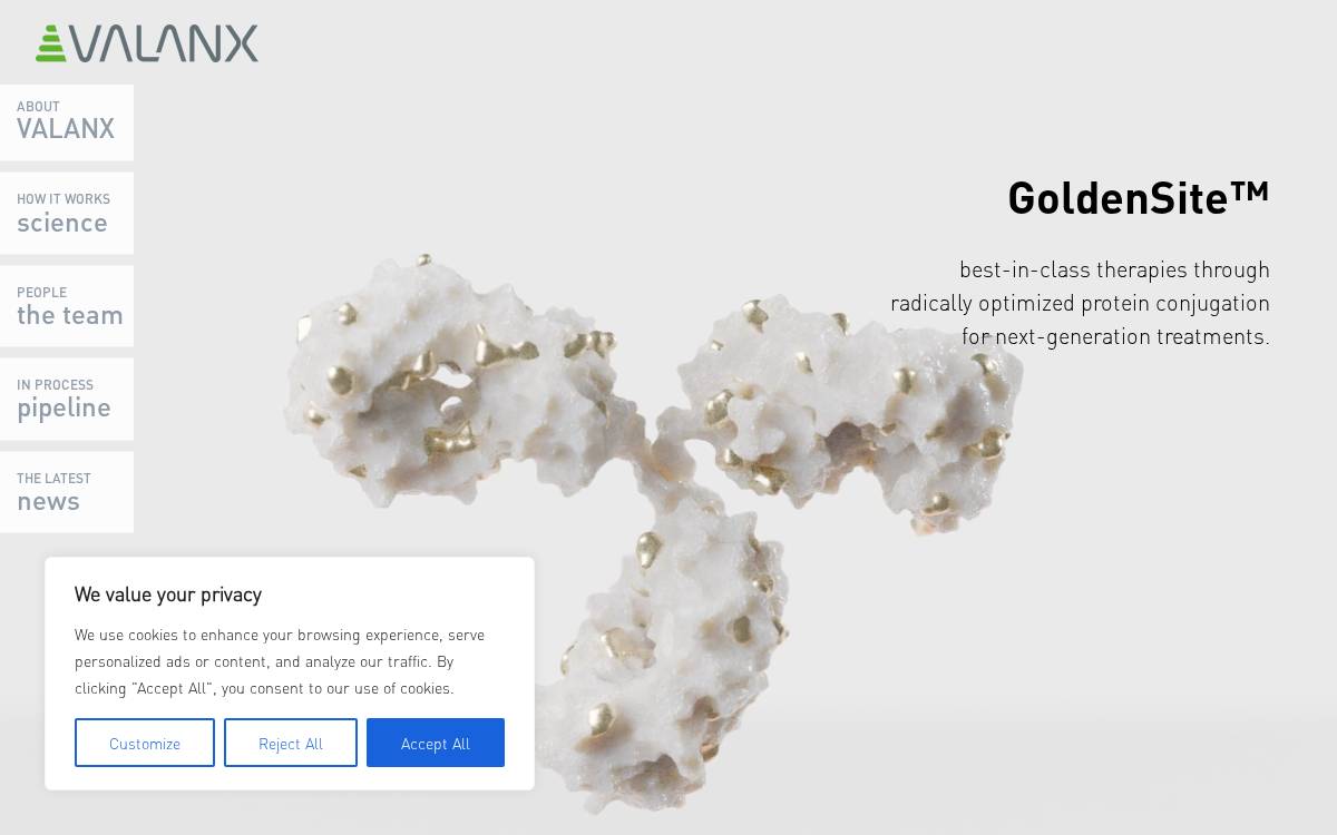 VALANX website preview