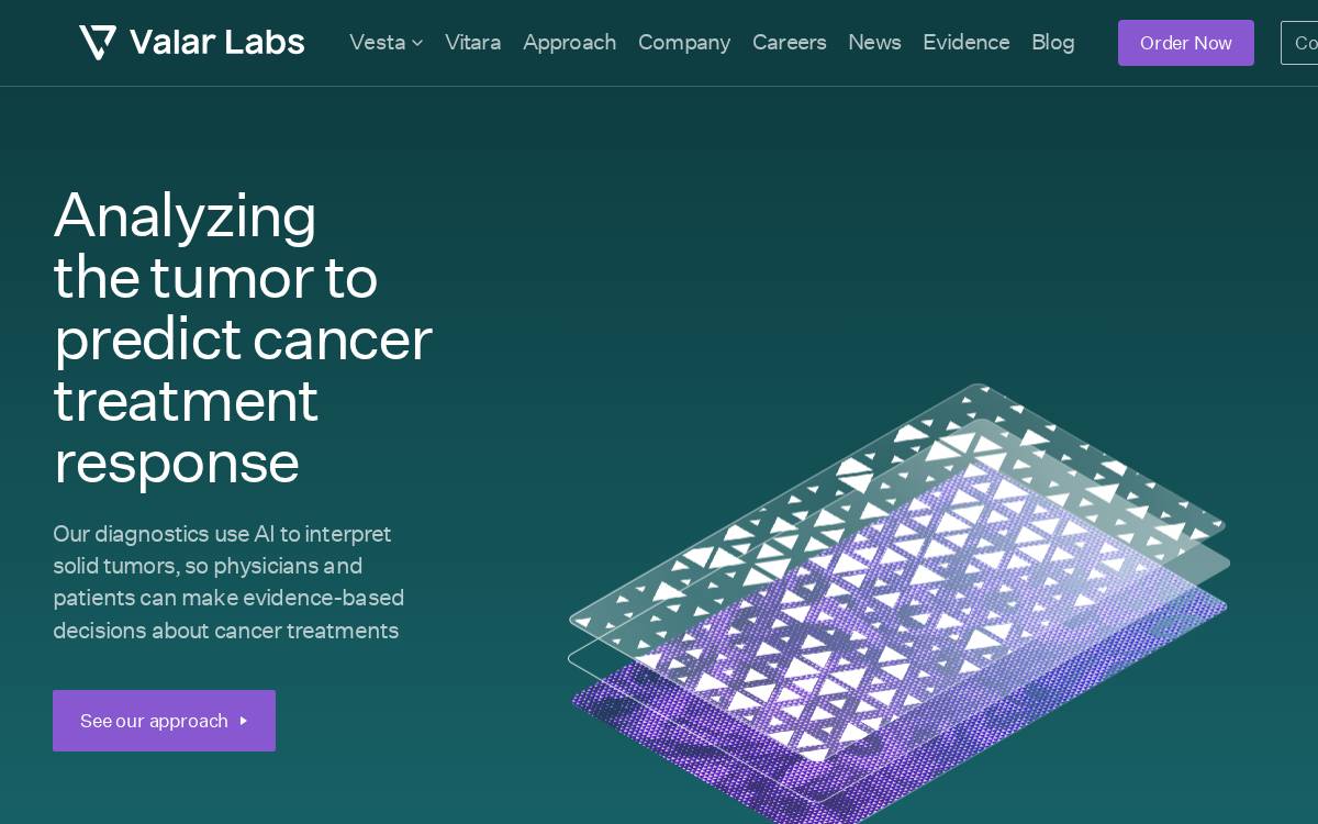Valar Labs website preview