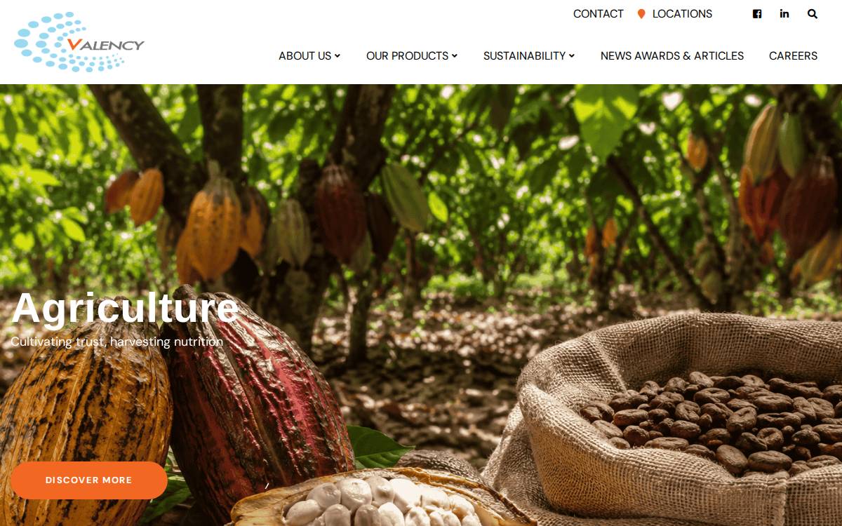 Valency International website preview