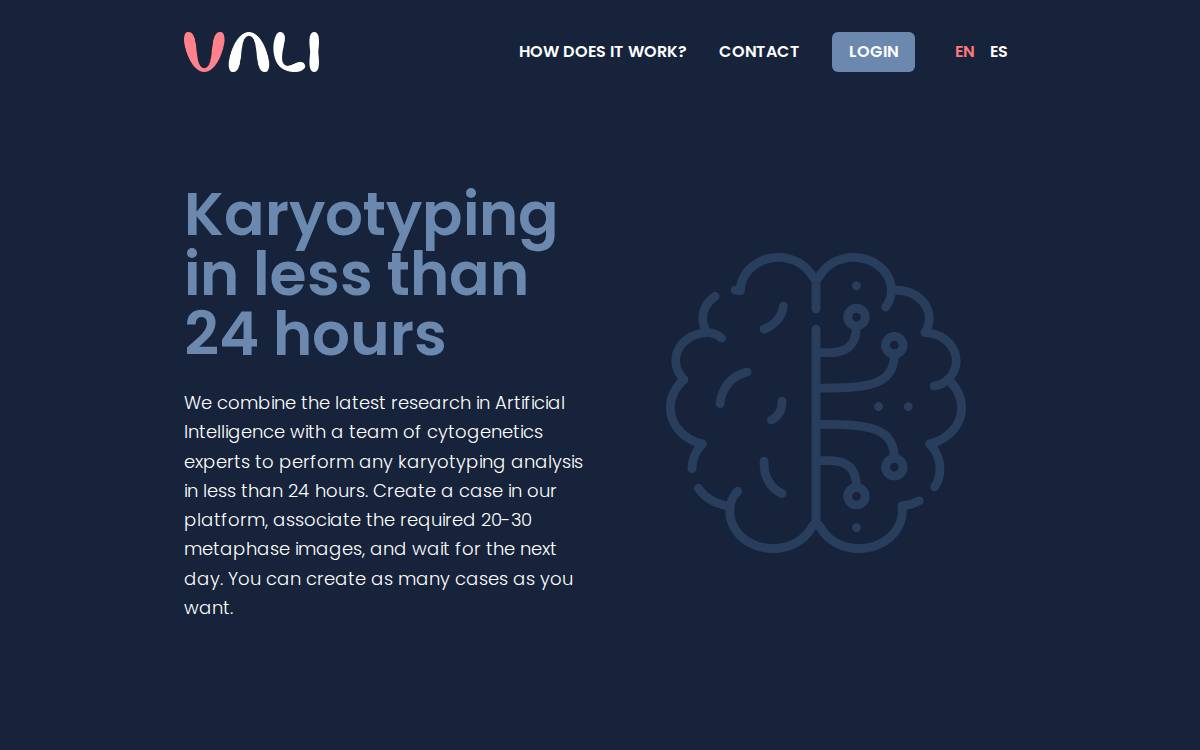 Vali website preview