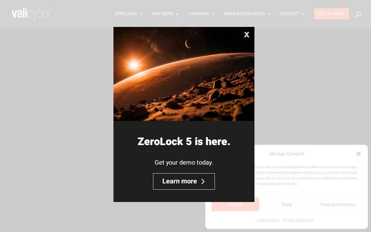 Vali Cyber website preview