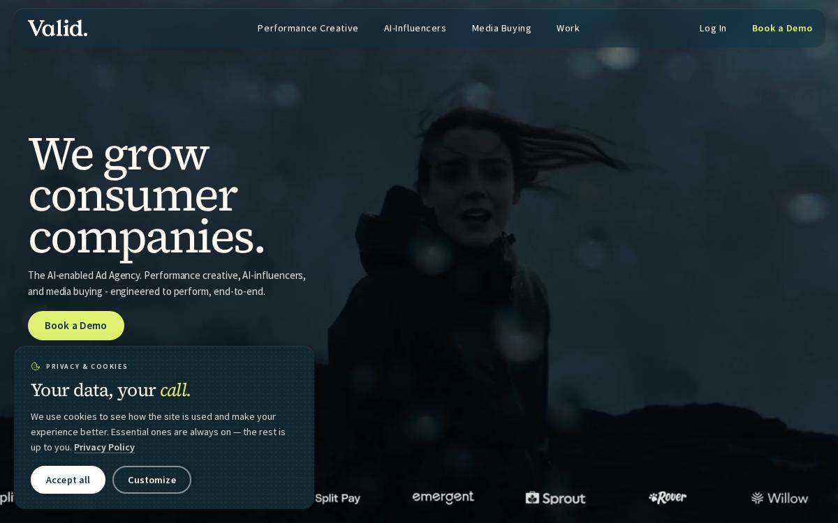 VALID website preview