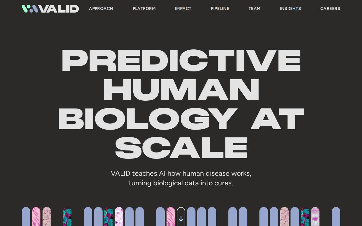 Valid website preview