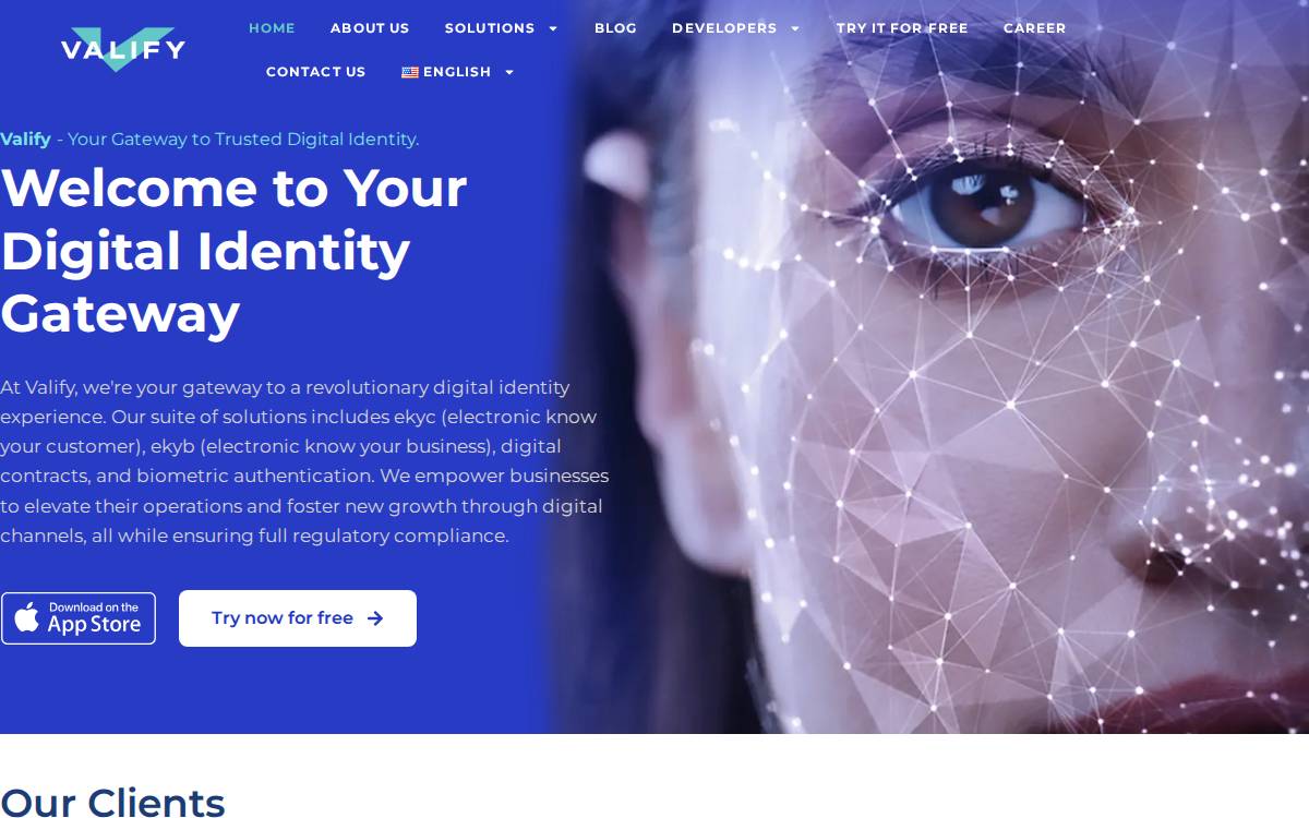 Valify website preview