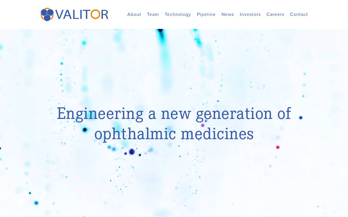 Valitor website preview