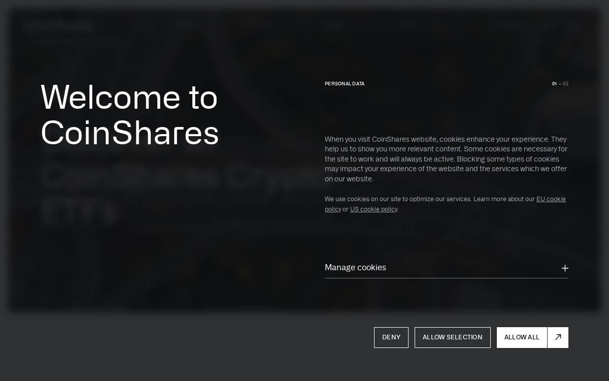 Valkyrie Funds website preview