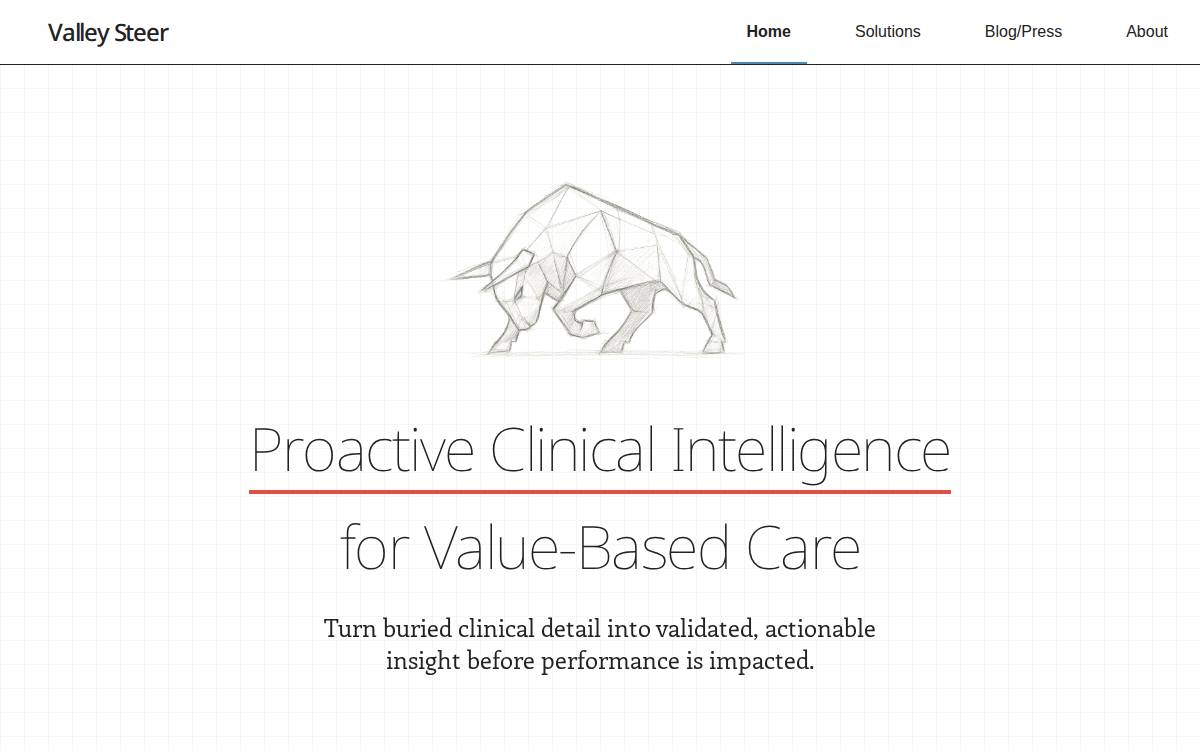 Valleysteer website preview