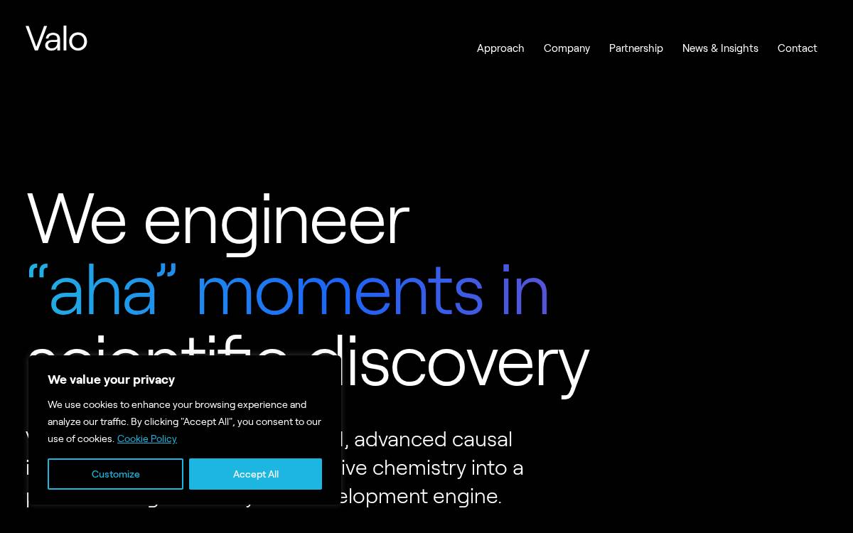 Valo website preview