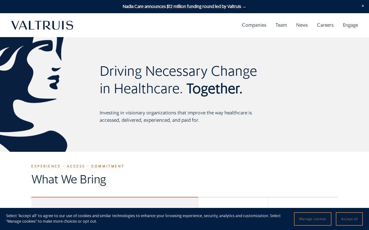 Valtruis website preview