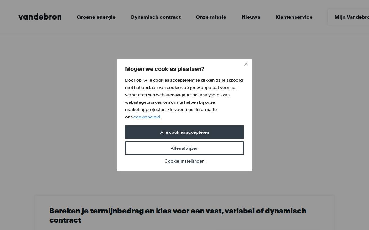 Vandebron website preview