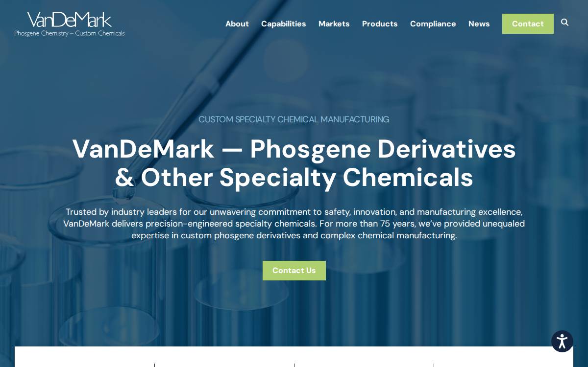 VanDeMark website preview