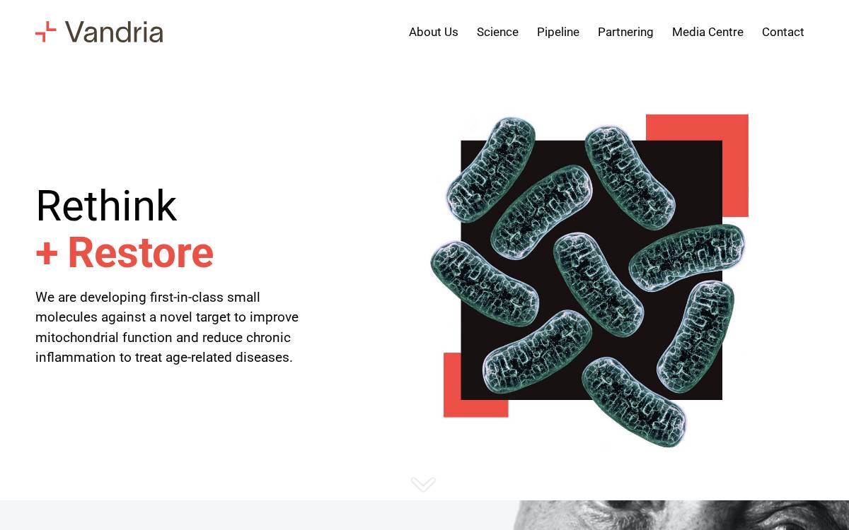 Vandria website preview