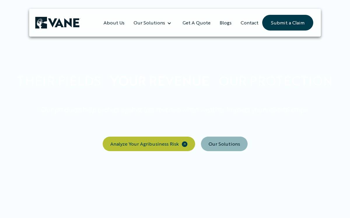 Vane website preview