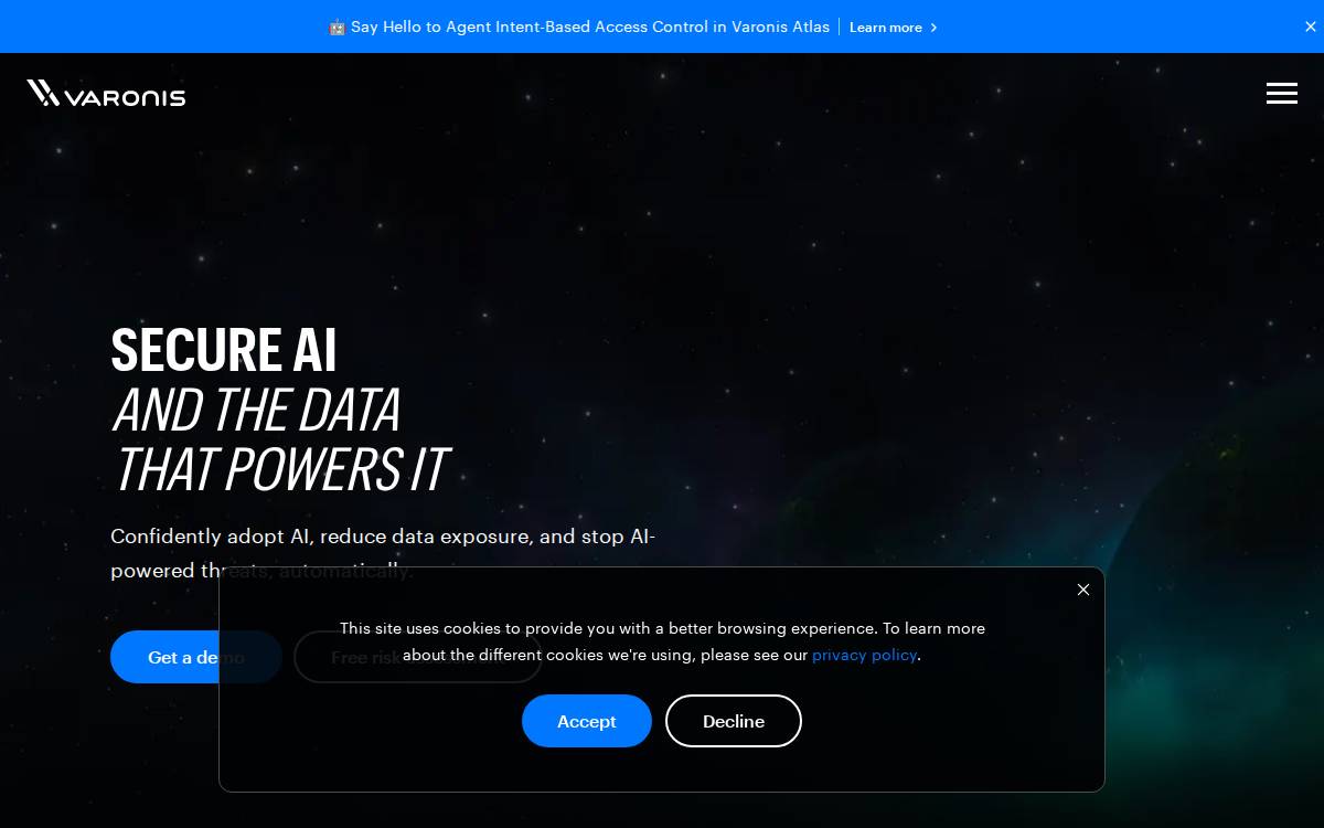 Varonis Systems website preview