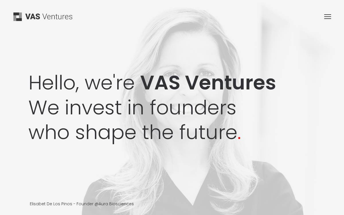 Vas website preview