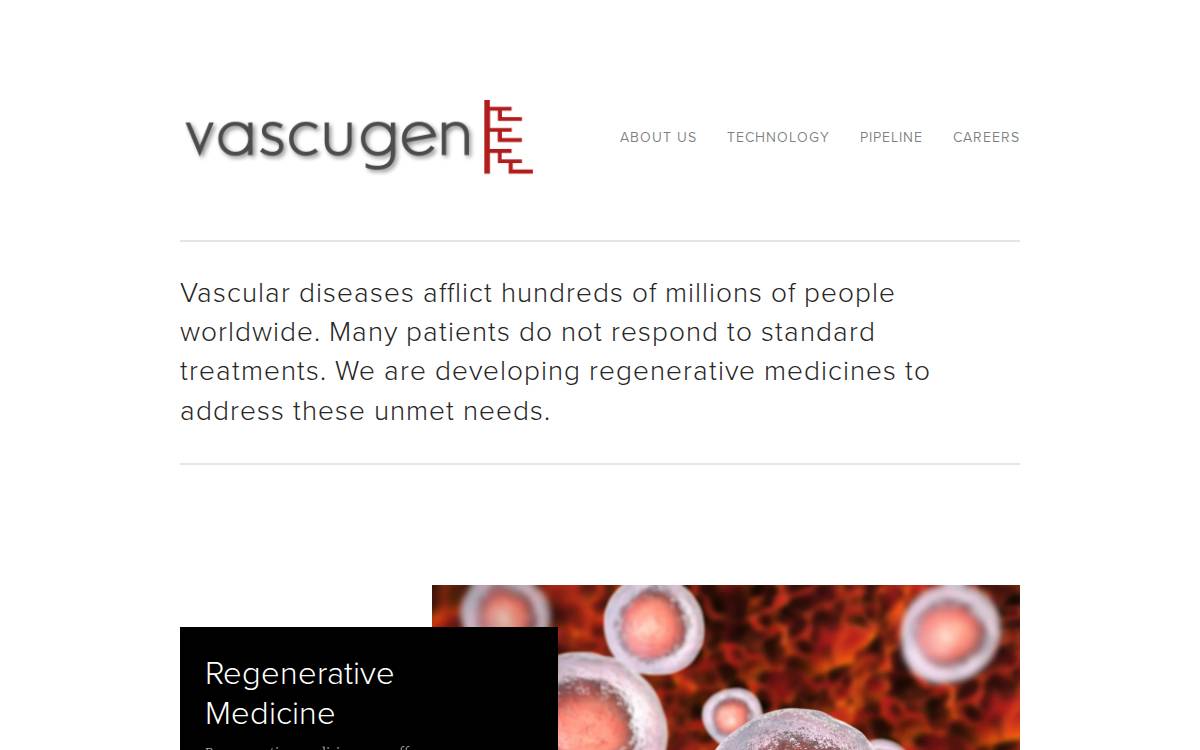 Vascugen website preview