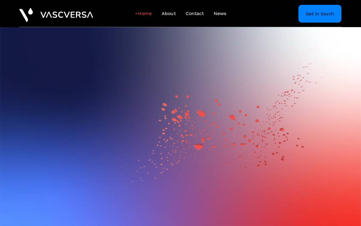 VascVersa website preview