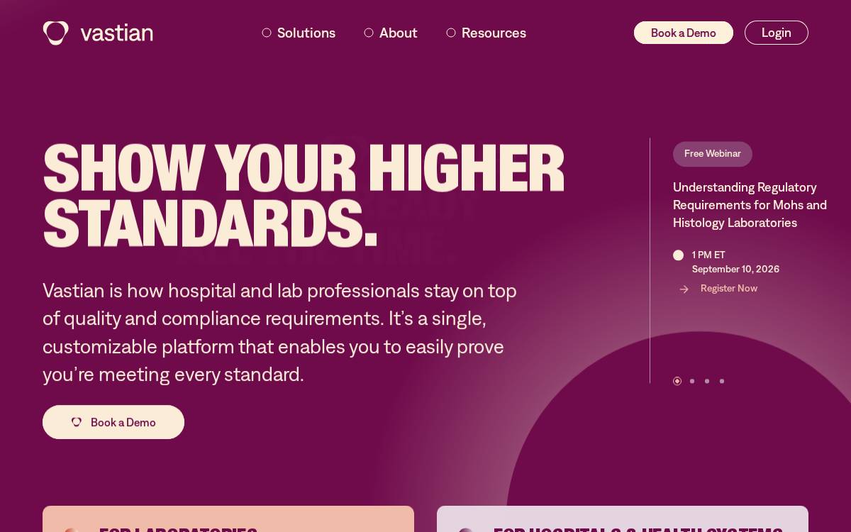 Vastian website preview