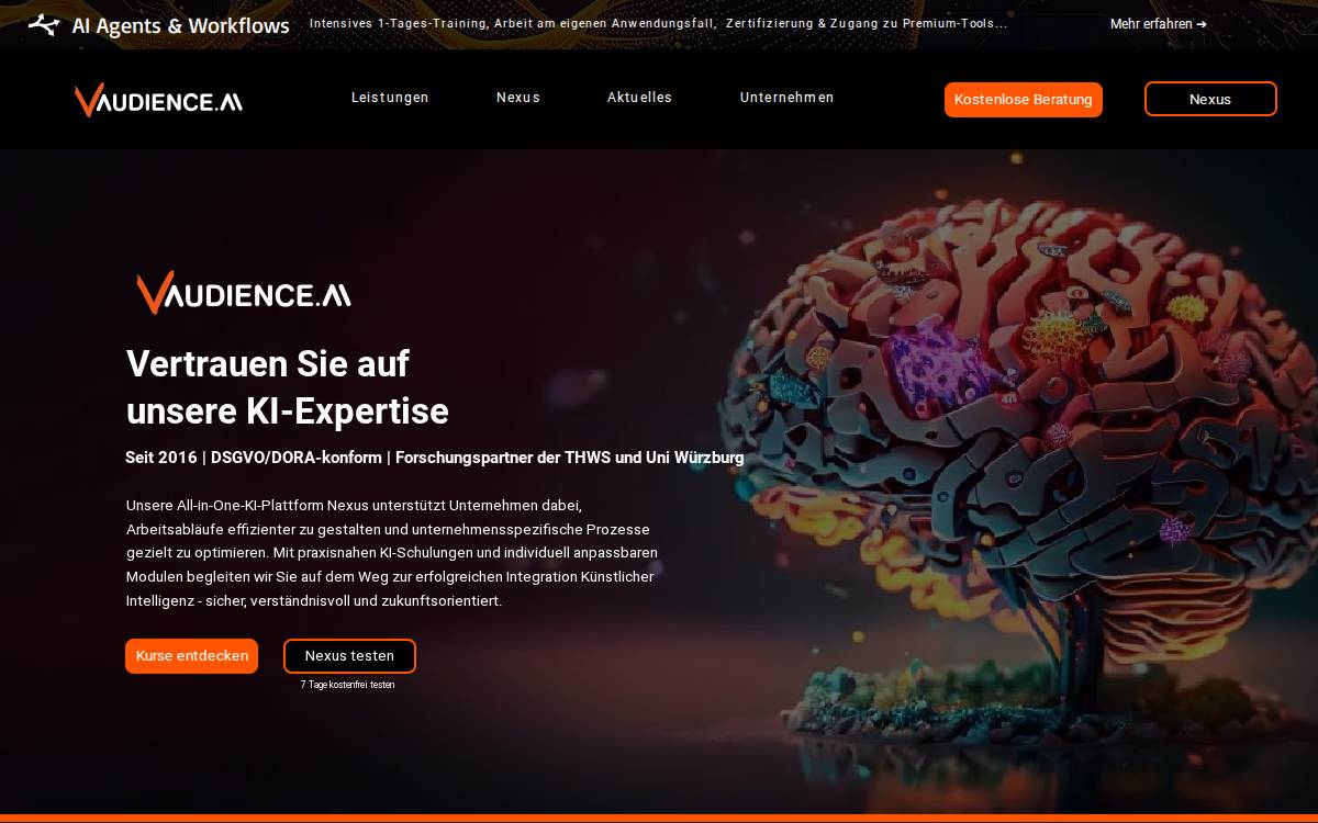 Vaudience website preview