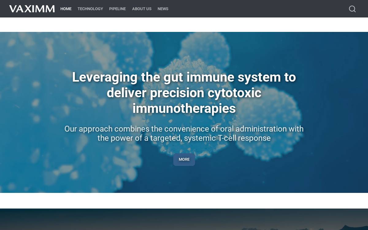 Vaximm website preview