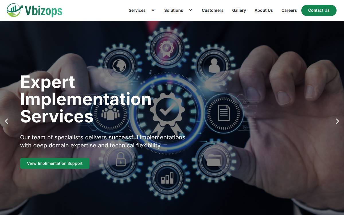 Vbizops website preview
