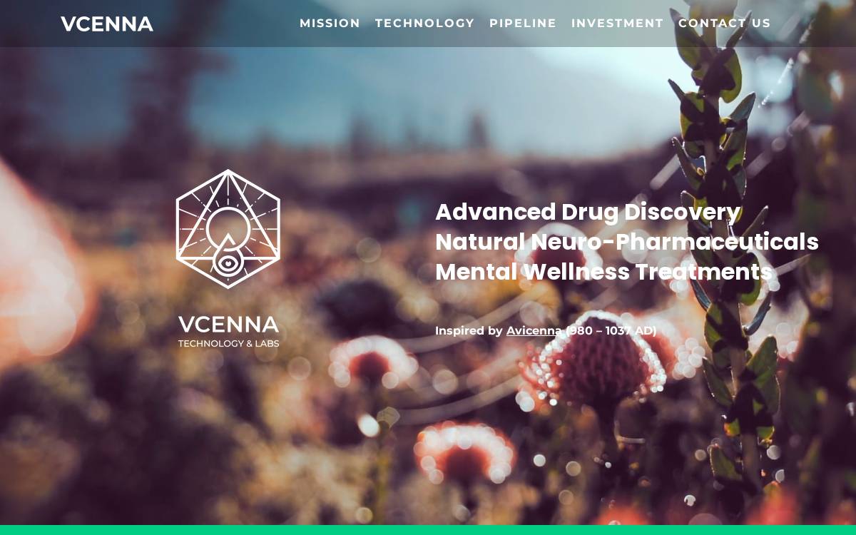 VCENNA website preview