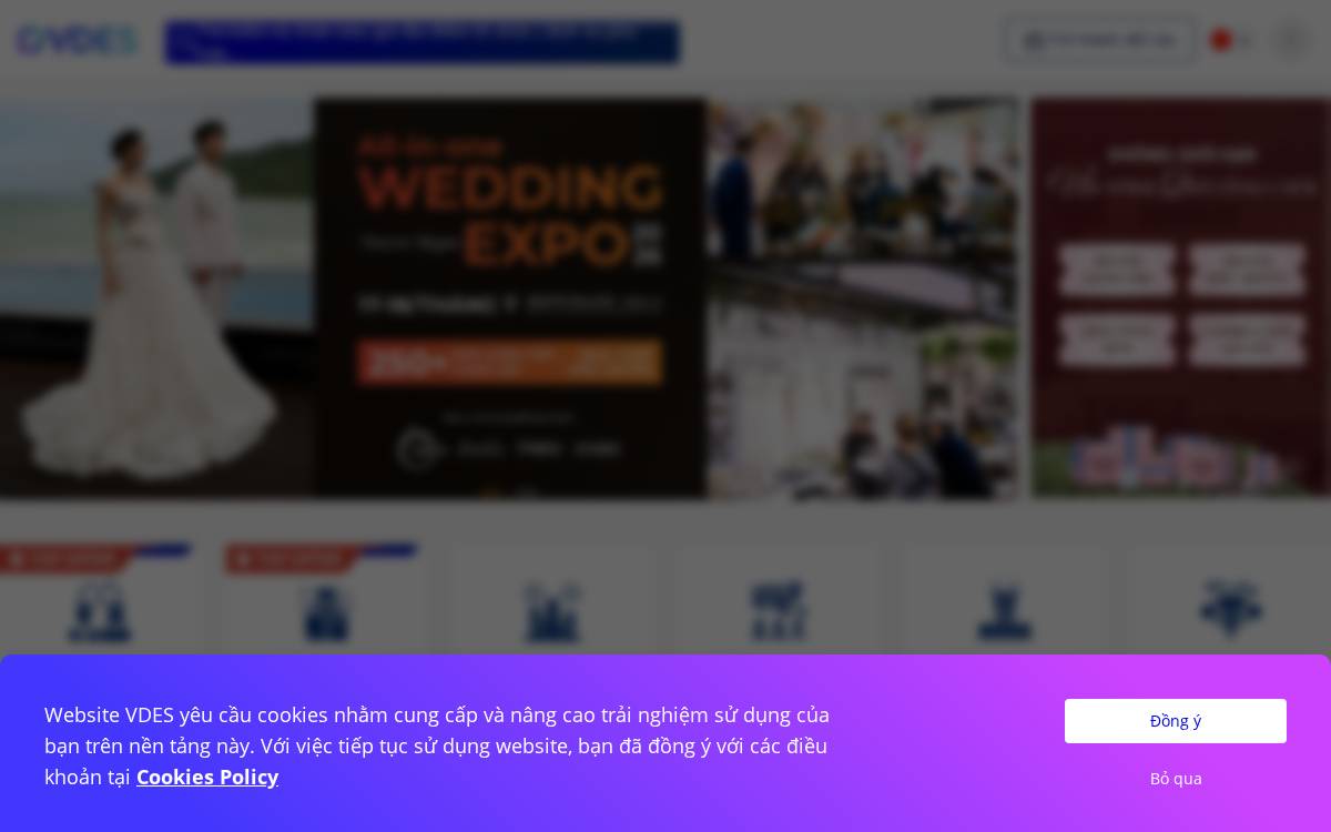 Vdes website preview