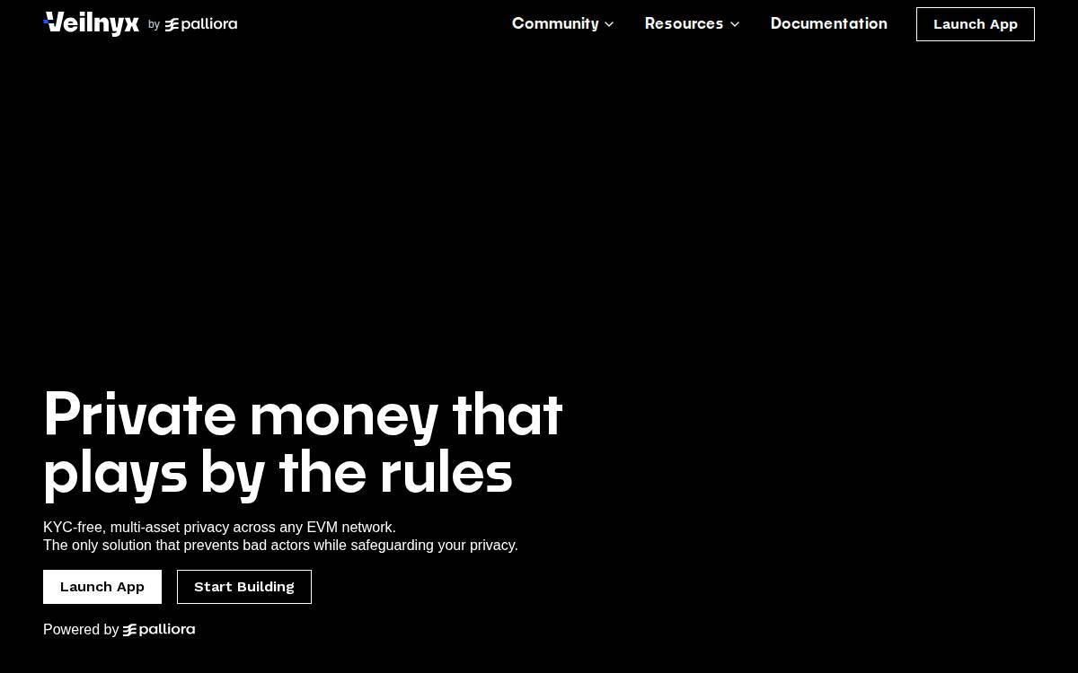 Veilnyx website preview