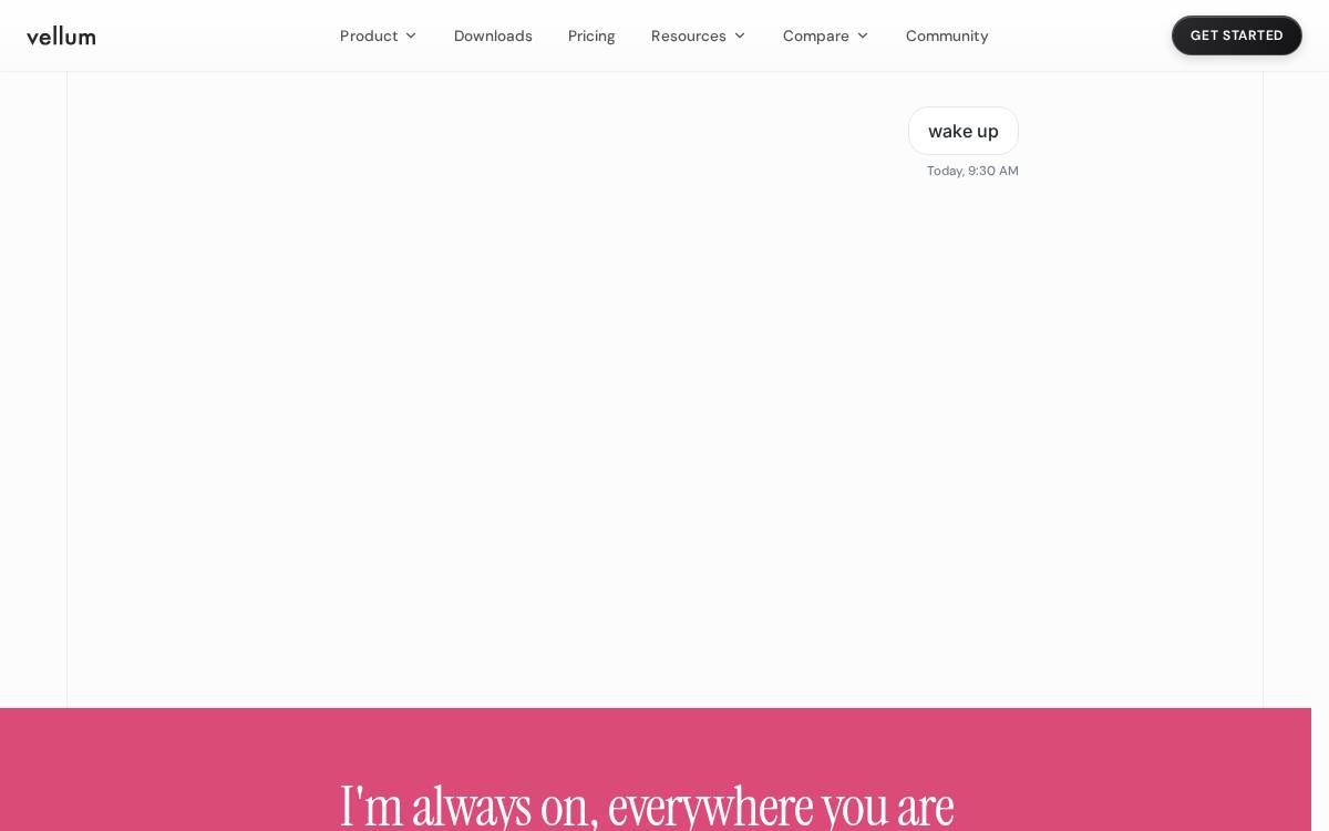 Vellum website preview