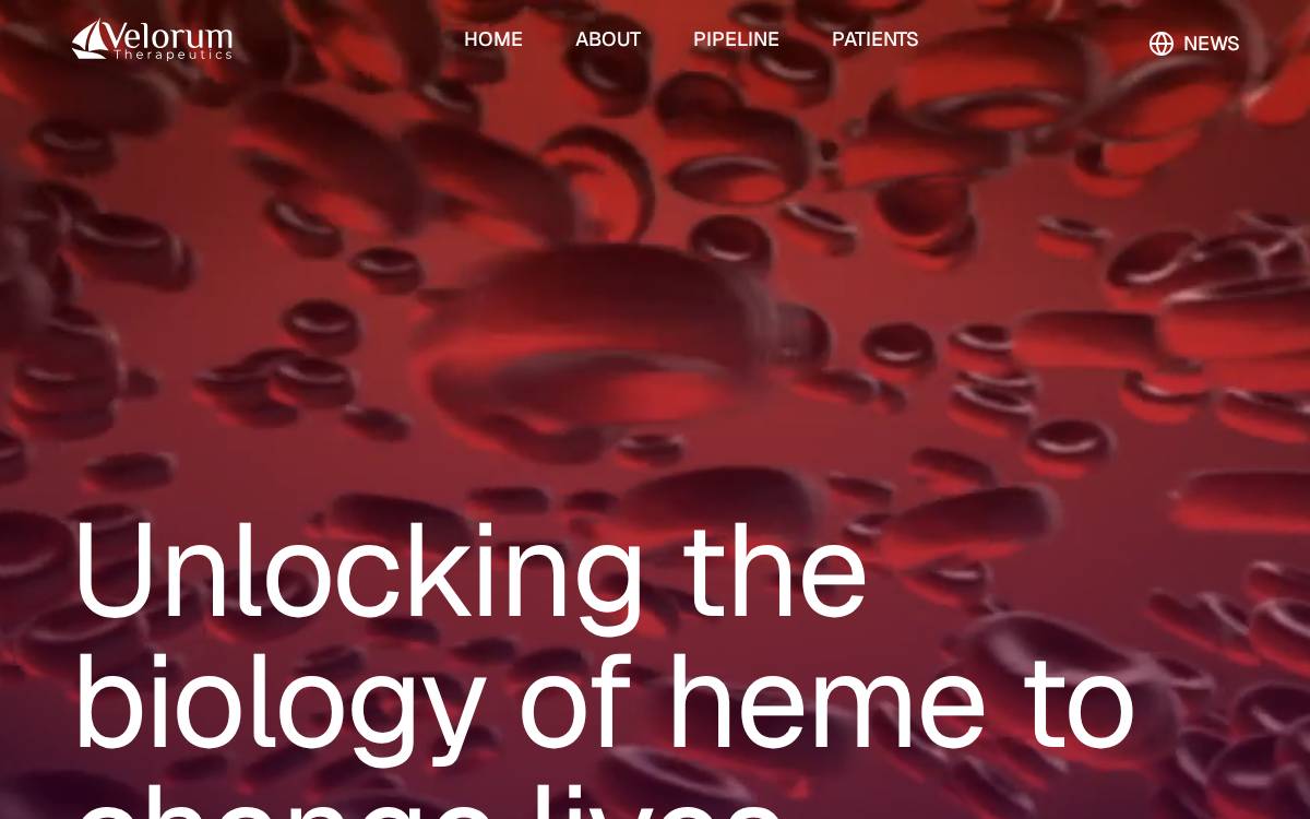 Velorum Therapeutics website preview