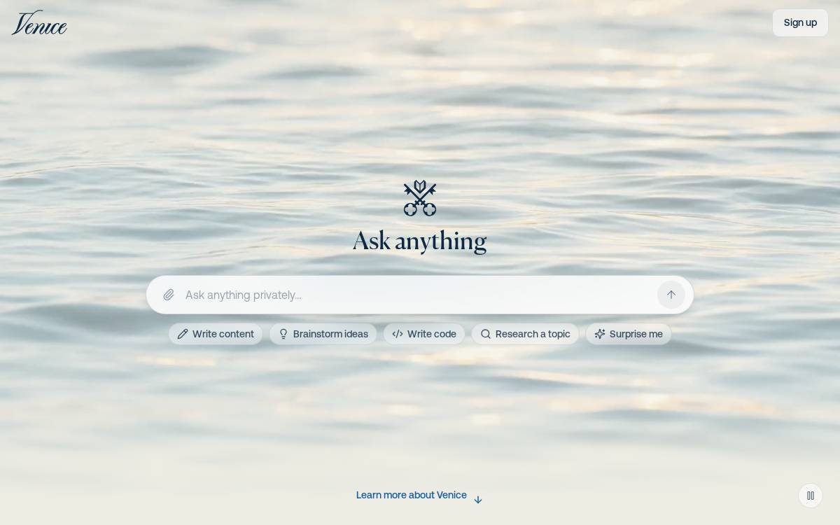 Venice AI website preview
