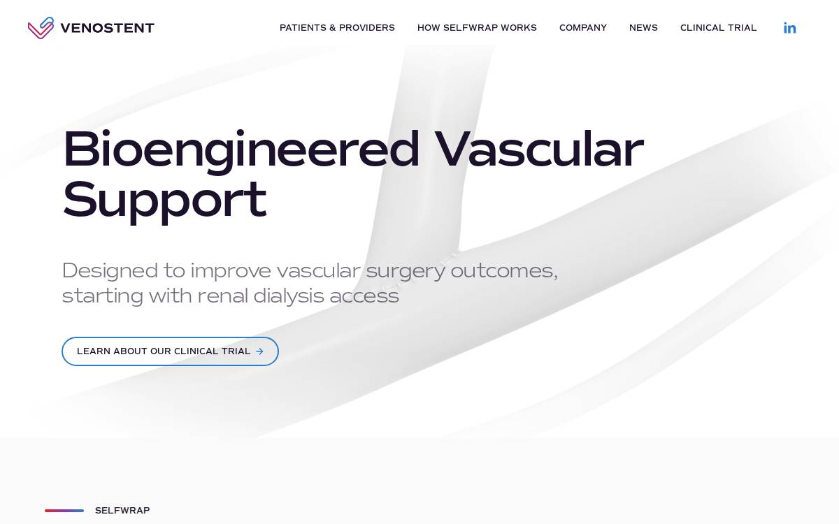 VenoStent website preview