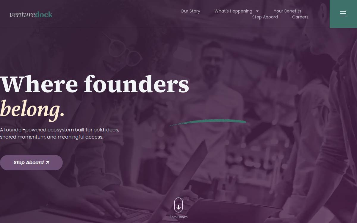 Venture Dock website preview