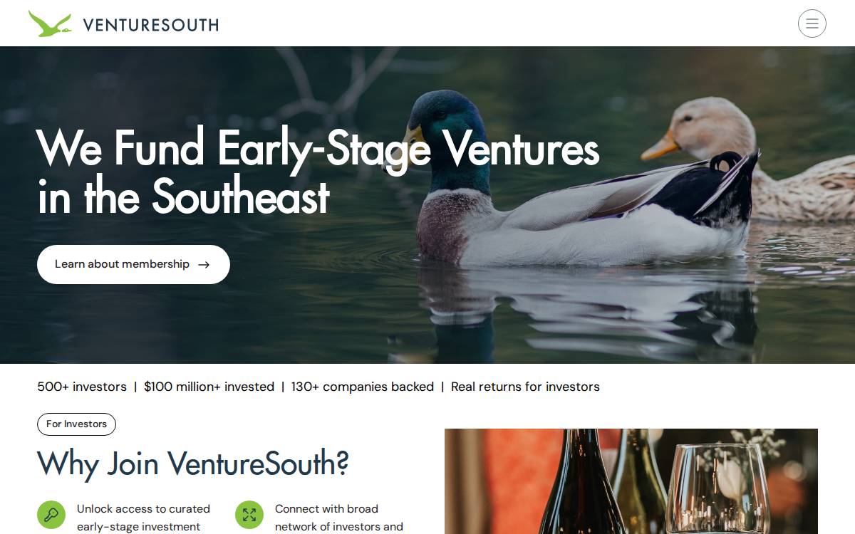 Venturesouth website preview