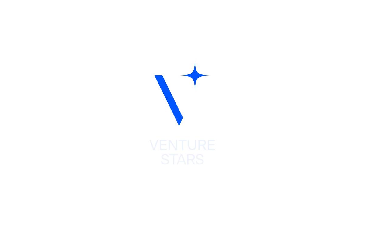 Venturestars website preview