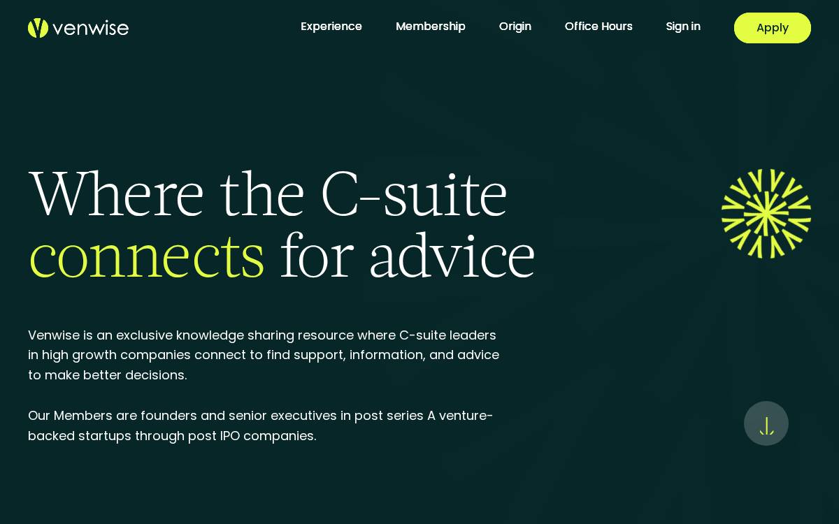 Venwise website preview