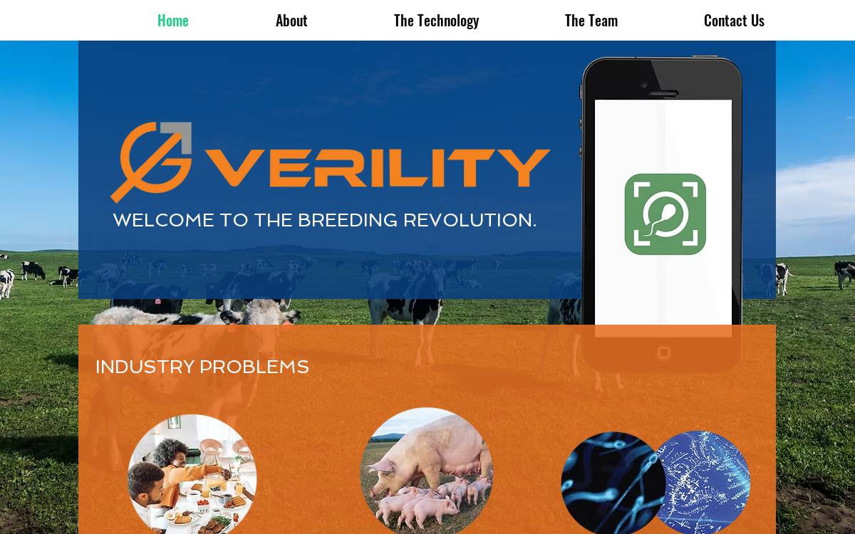 Verility website preview