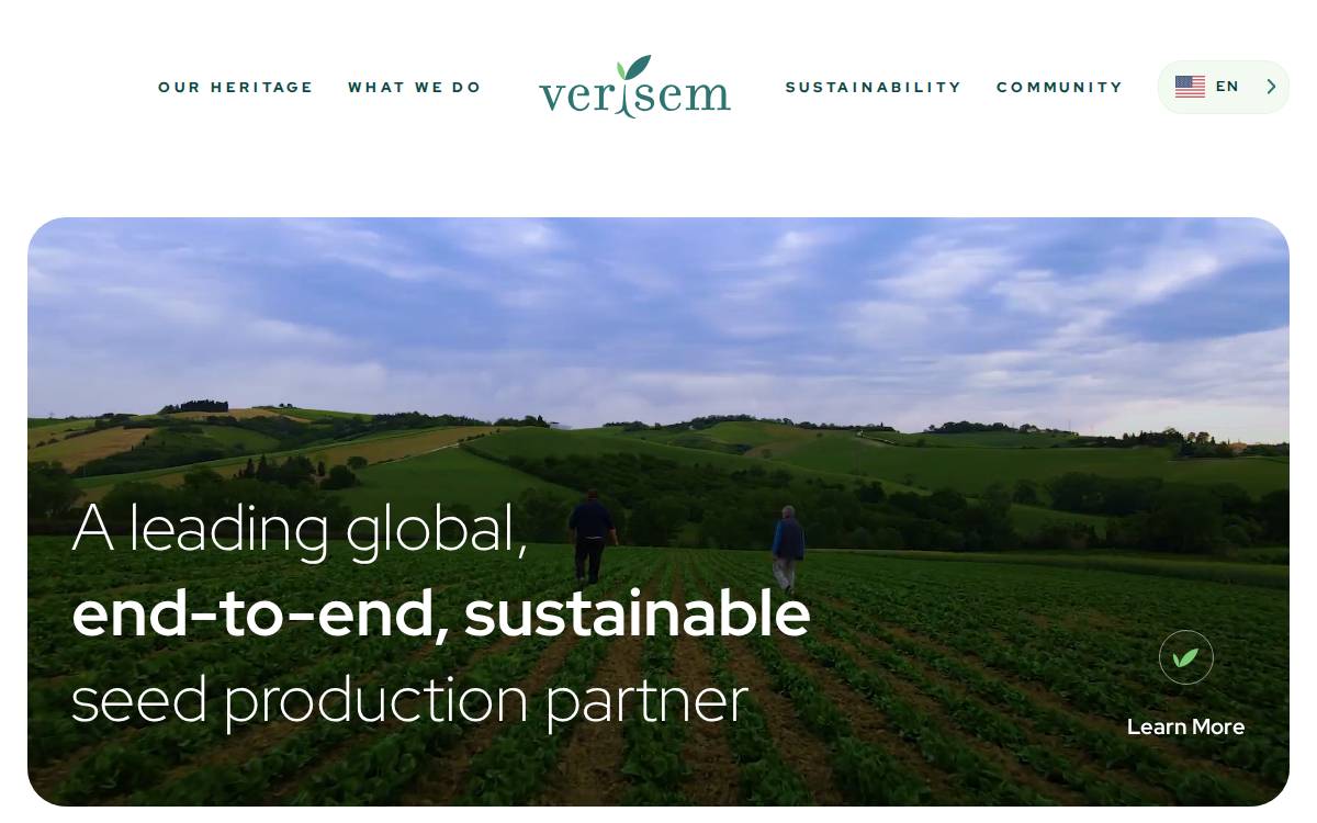 Verisem website preview