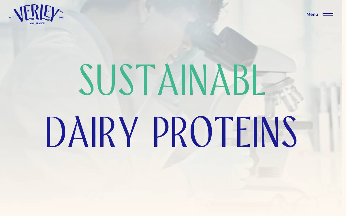 Verley Food website preview