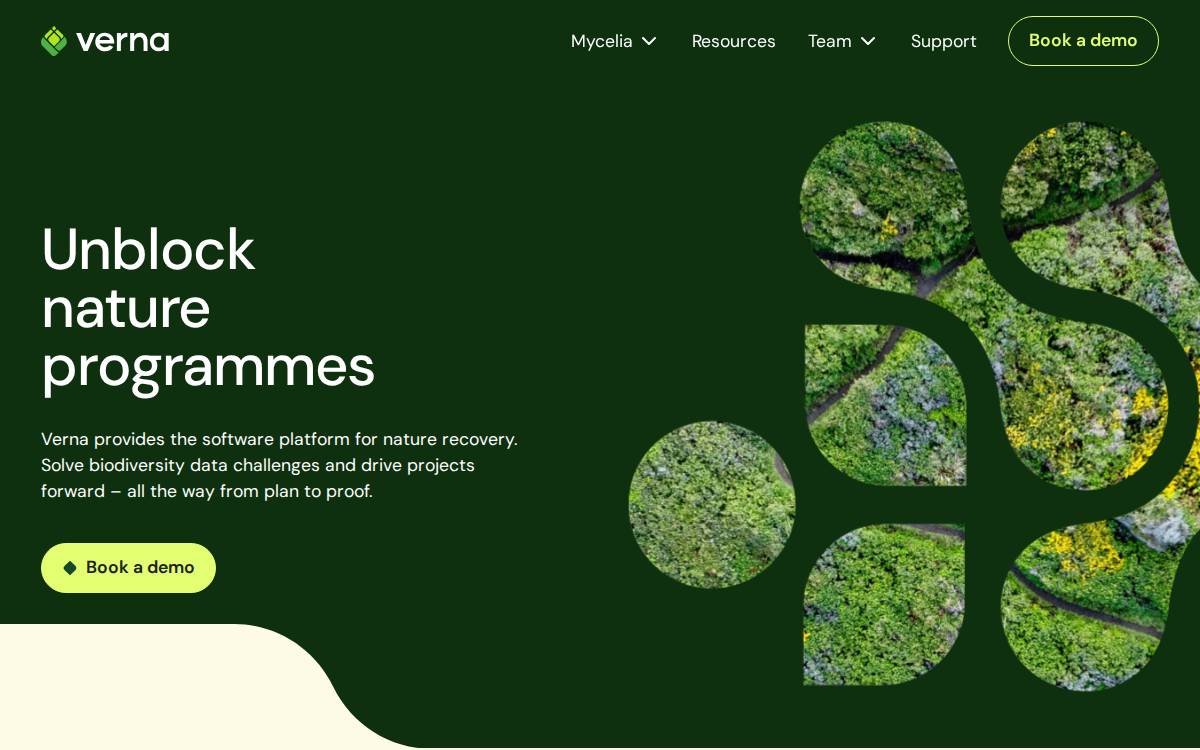 Verna website preview