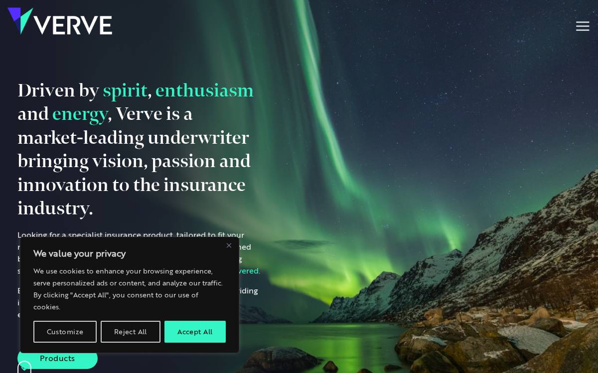 Verve Risk Services website preview