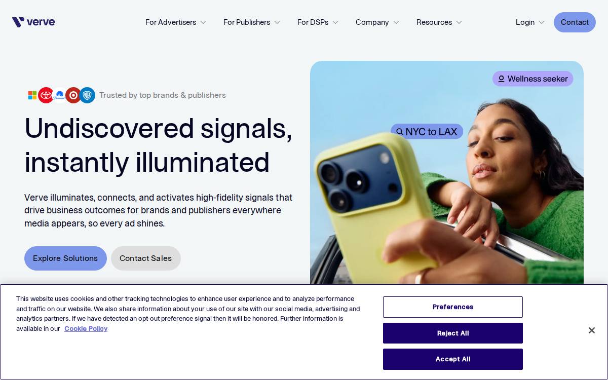 Verve website preview