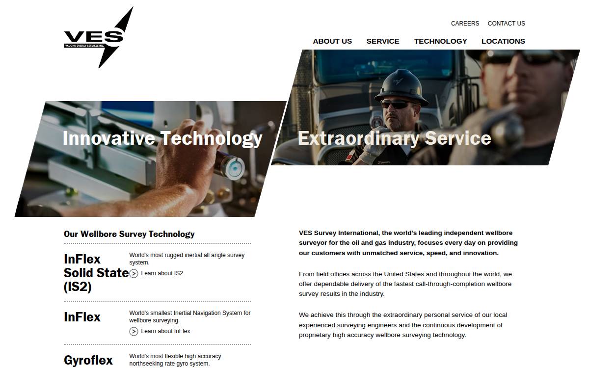 VES Survey International website preview