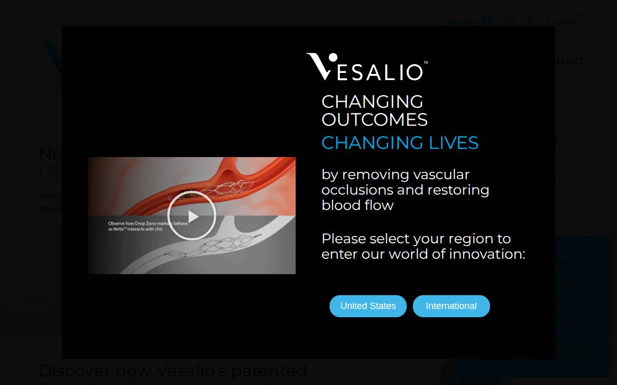 Vesalio website preview