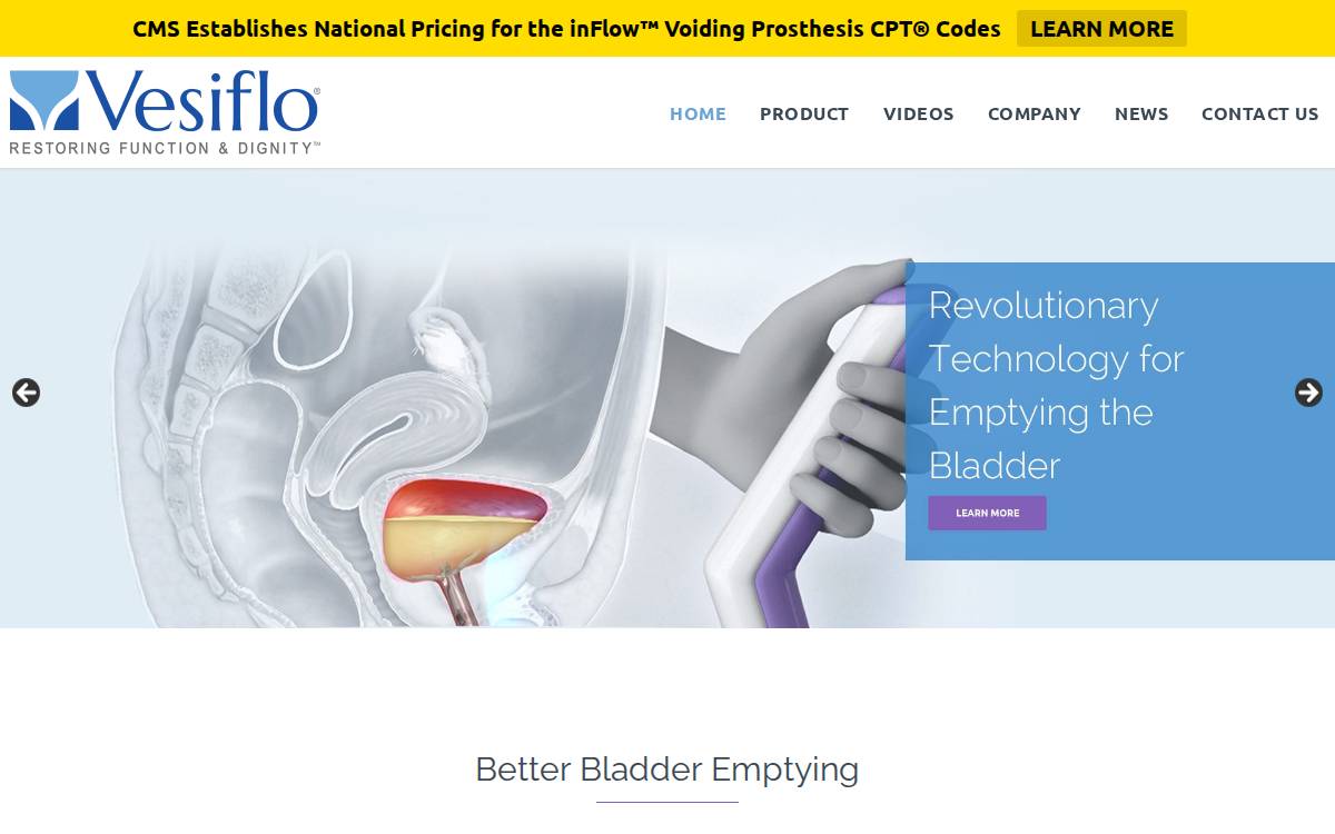 Vesiflo website preview