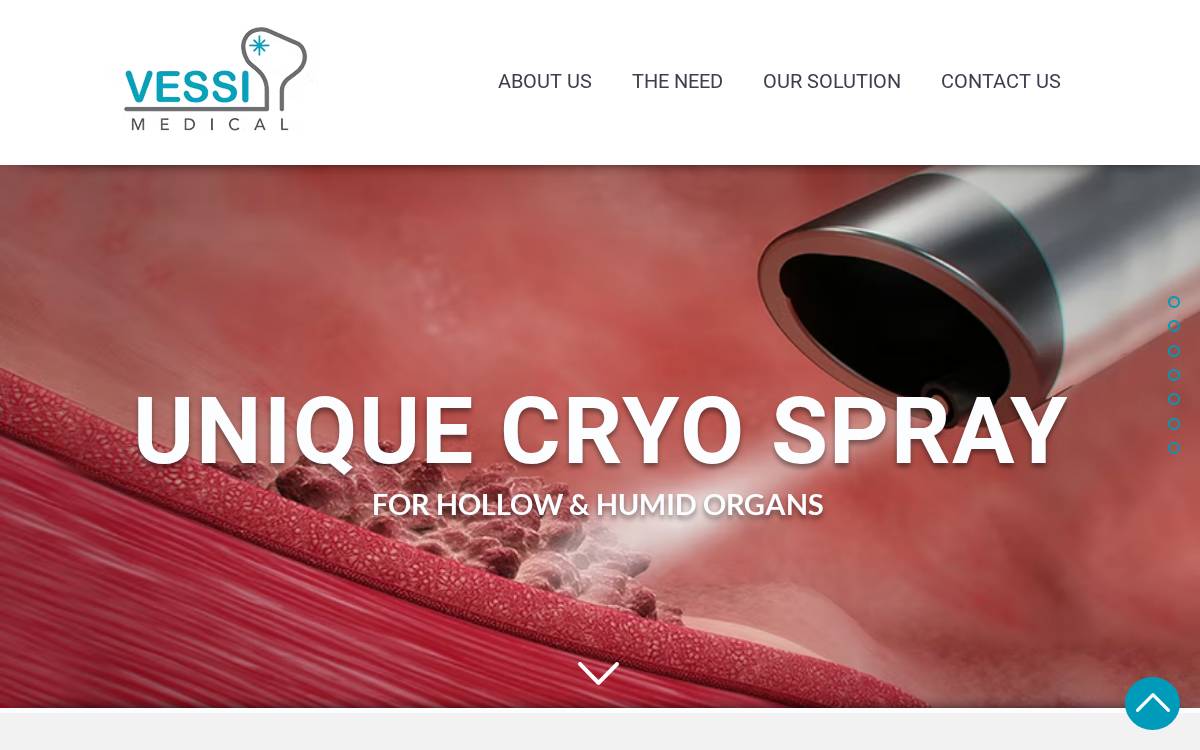 Vessimed website preview