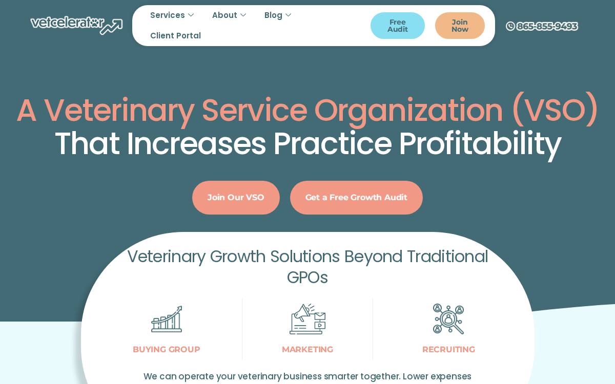 Vetcelerator website preview