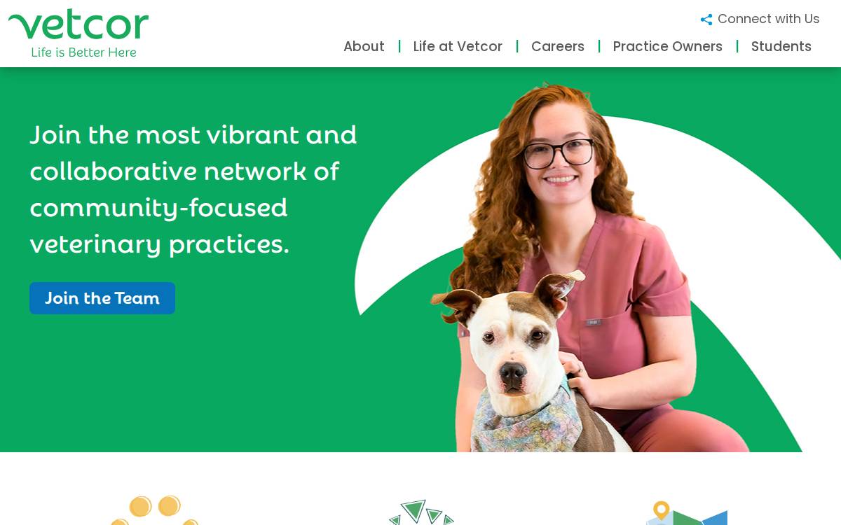 Vetcor website preview