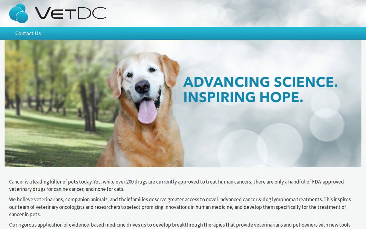 VetDC website preview